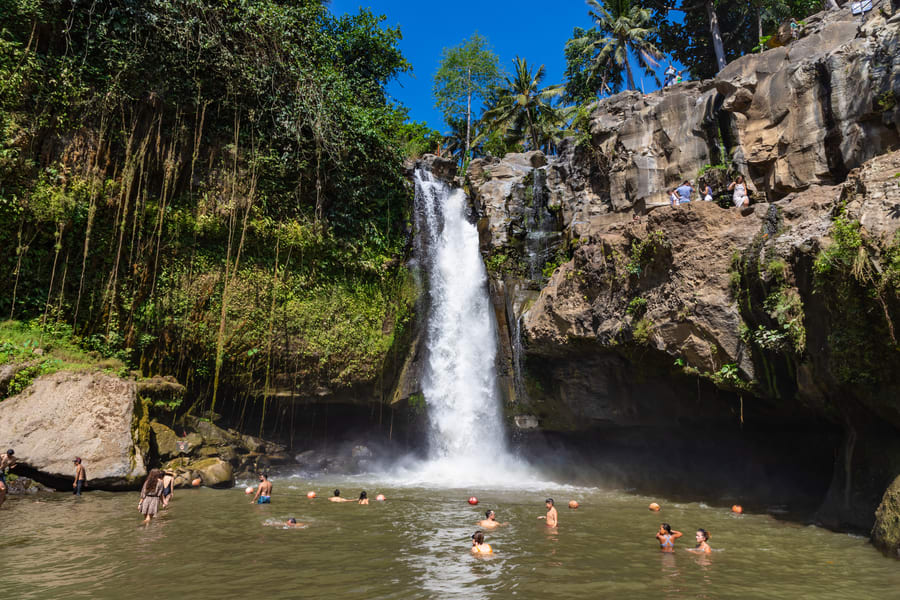 Best of Bali Waterfalls Tour | Eco Bali Tours